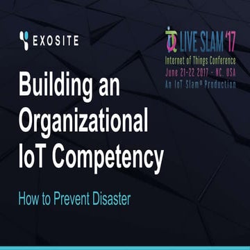 Building an Organizational IoT Competency: How to Prevent Disaster