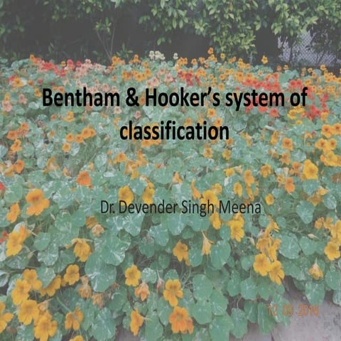 Bentham hooker classification system