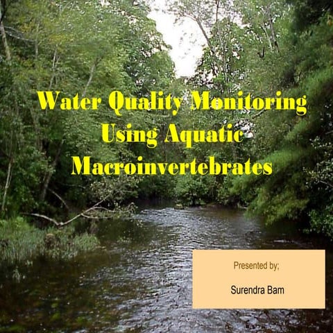 Benthic macroinvertebrates