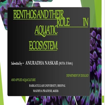 Benthos - types and their role in ecosystem