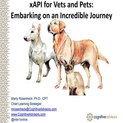 Case Study: xAPI for vets and pets