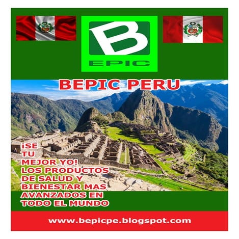 Bepic plan de compensacion | PDF