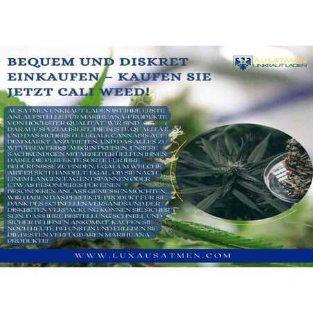 bequemunddiskreteinkaufenkaufensiejetztcaliweed-230731180528-62ae9c12-thumbnail.jpg?width=640&height=640&fit=bounds