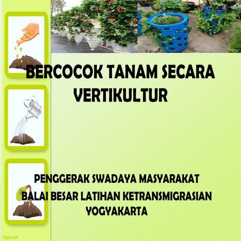 Metode Budidaya Tanaman Secara Vertikultur | PPTX