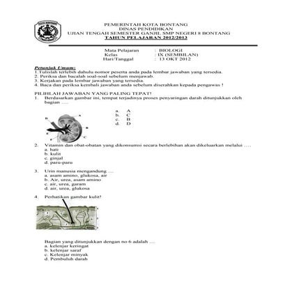 Berdasarkan gambar ini