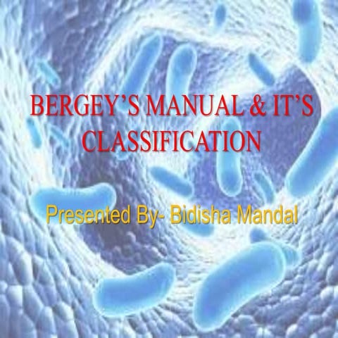 Bergey's classification presentation