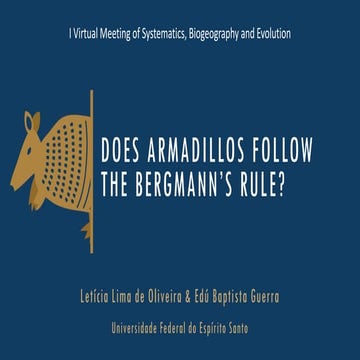 Does armadillos follow the Bergmann's Rule? | PPT