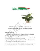 Berikut Merupakan Beberapa Musuh Utama Tana