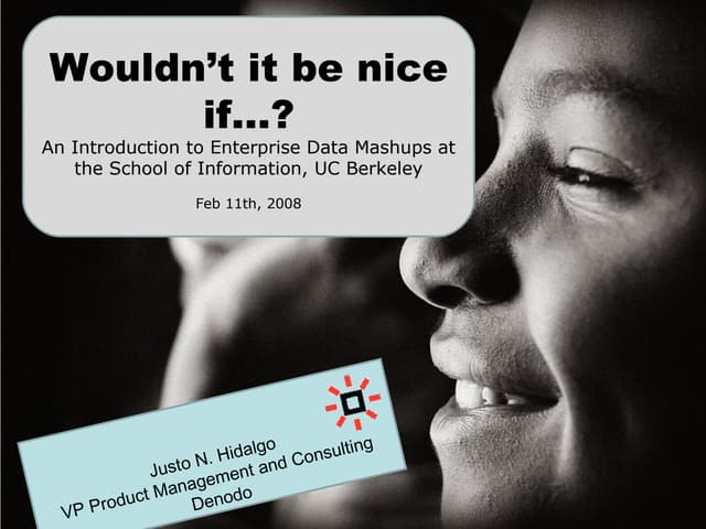 Wouldn't it be nice if... an introduction to Enterprise Data Mashups