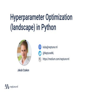 Hyperparameter optimization landscape Berlin ML Group meetup 8/2019