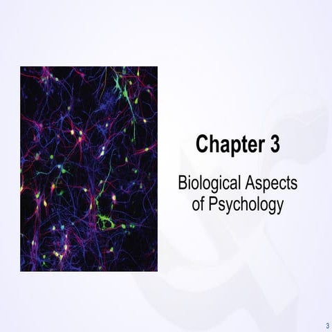 Chapter 3 Biological