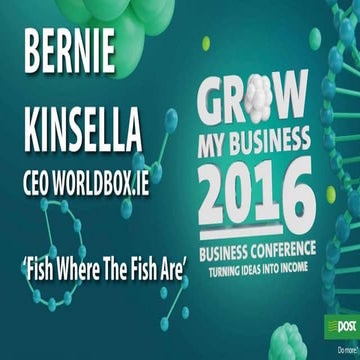 Grow My Business - Bernie Kinsella 'Fish Where The Fish Are.'