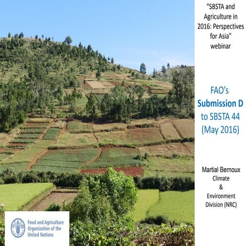 FAO’s Submission D - agricultural practices and technologies - to SBSTA 44 (M...