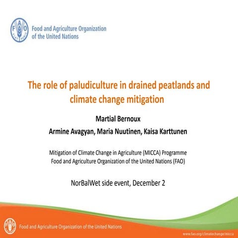 The role of paludiculture in drained peatlands and climate change mitigation 