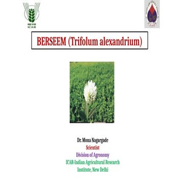 Barseem cultivation | PPTX