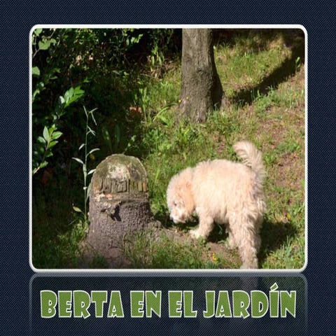 Berta en el jardín
