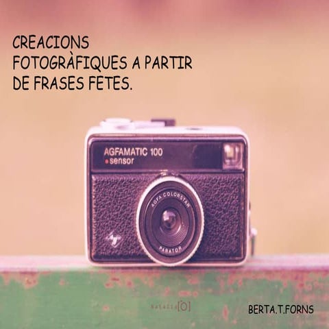 Creacions fotogràfiques a partir de frases fetes