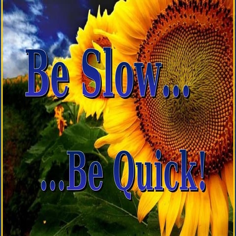 Be slow be quick 