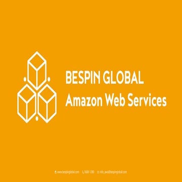 Bespinglobal info.pdf