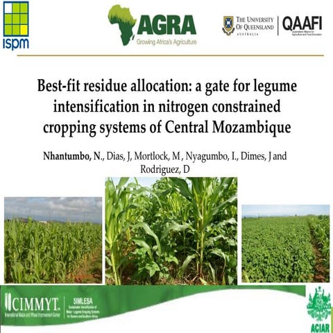 Best fit residue allocation a gate for legume intensification in Nitrogen con...