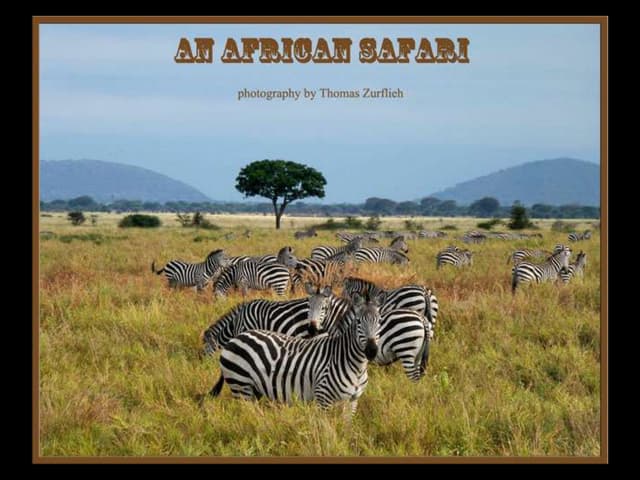 An African Safari - Tanzania