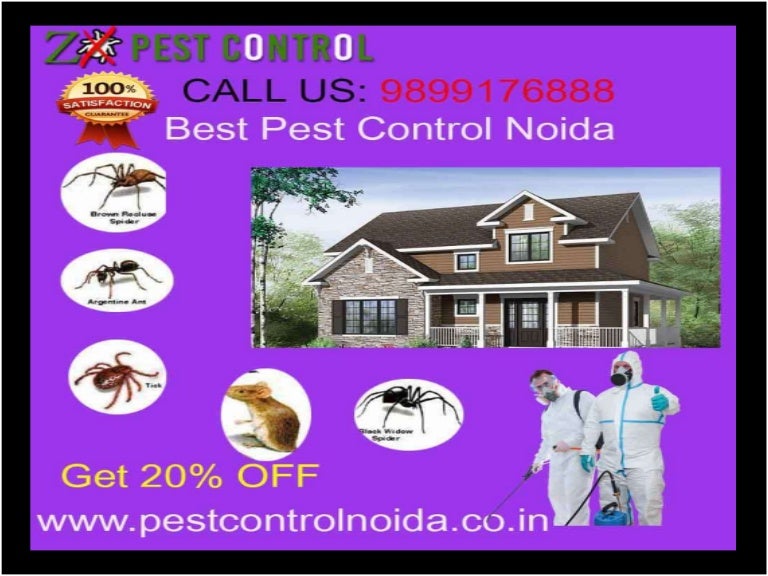 Best Affordable Pest Control Noida Get 20 off & Free Inspection