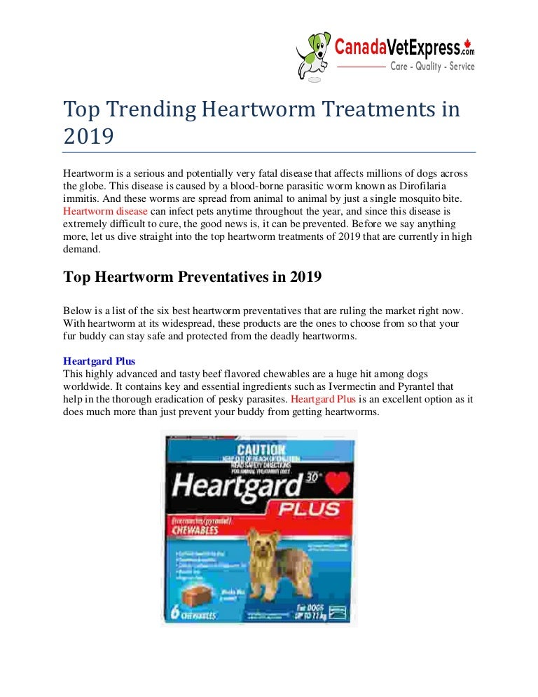 best heartworm prevention for dogs 2019