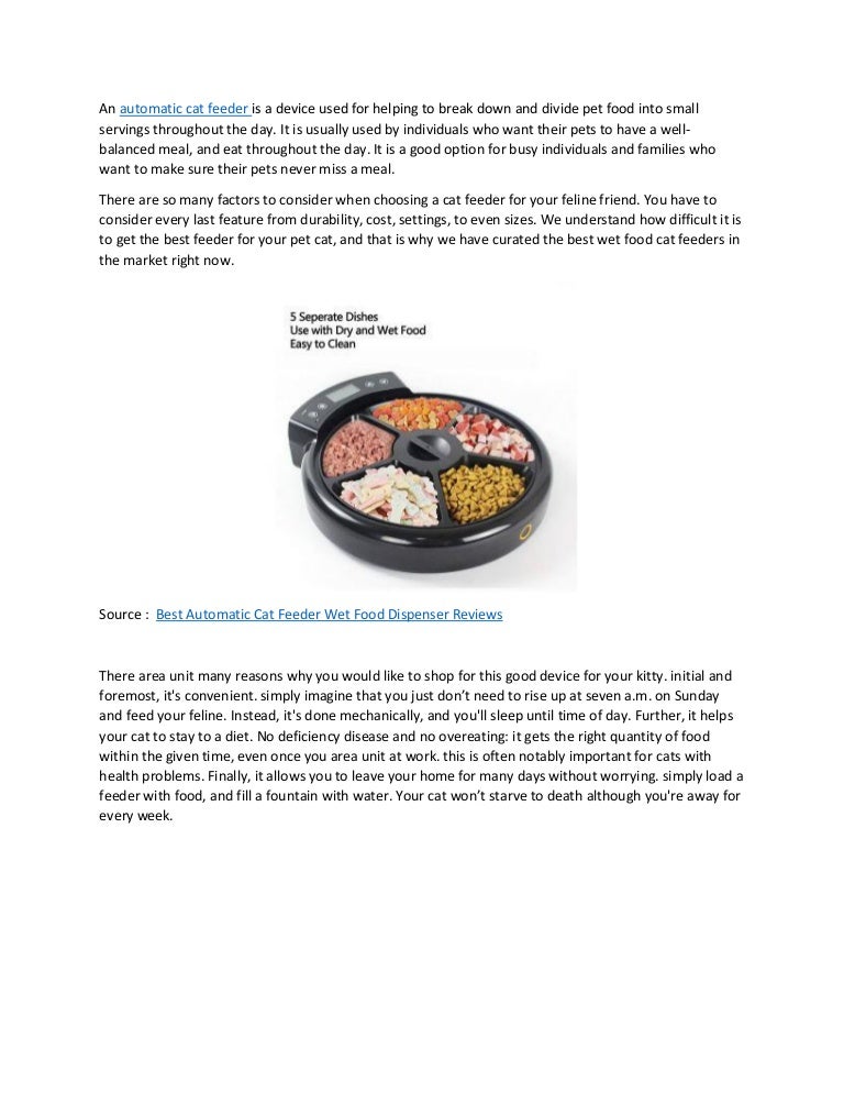 best automatic cat food dispenser
