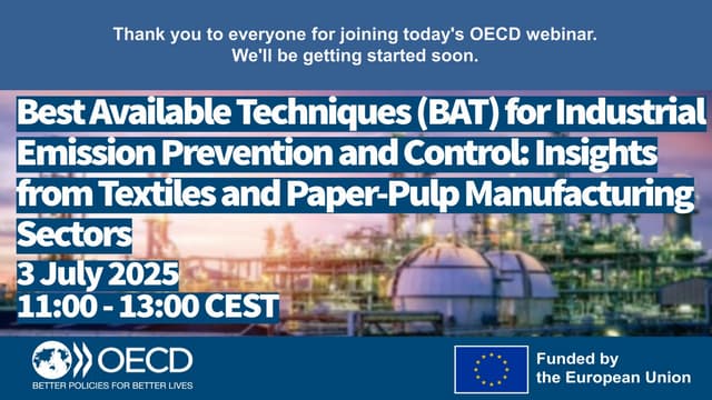 Best Available Techniques (BAT) Insights from Textiles and Paper-Pulp Manufac...