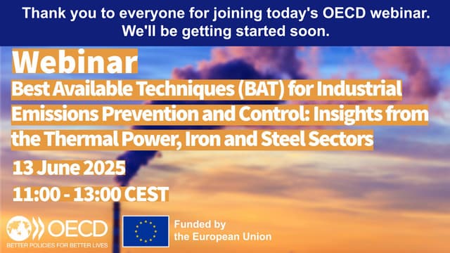 Best Available Techniques (BAT) Insights from the Thermal Power Iron and Stee...