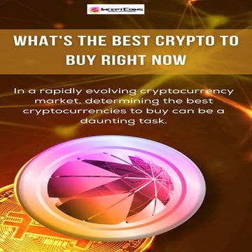 User what's the best crypto to buy right now