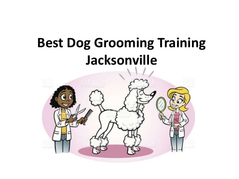 Best Pet grooming Training, Best Pet grooming Training in Jacksonvil…