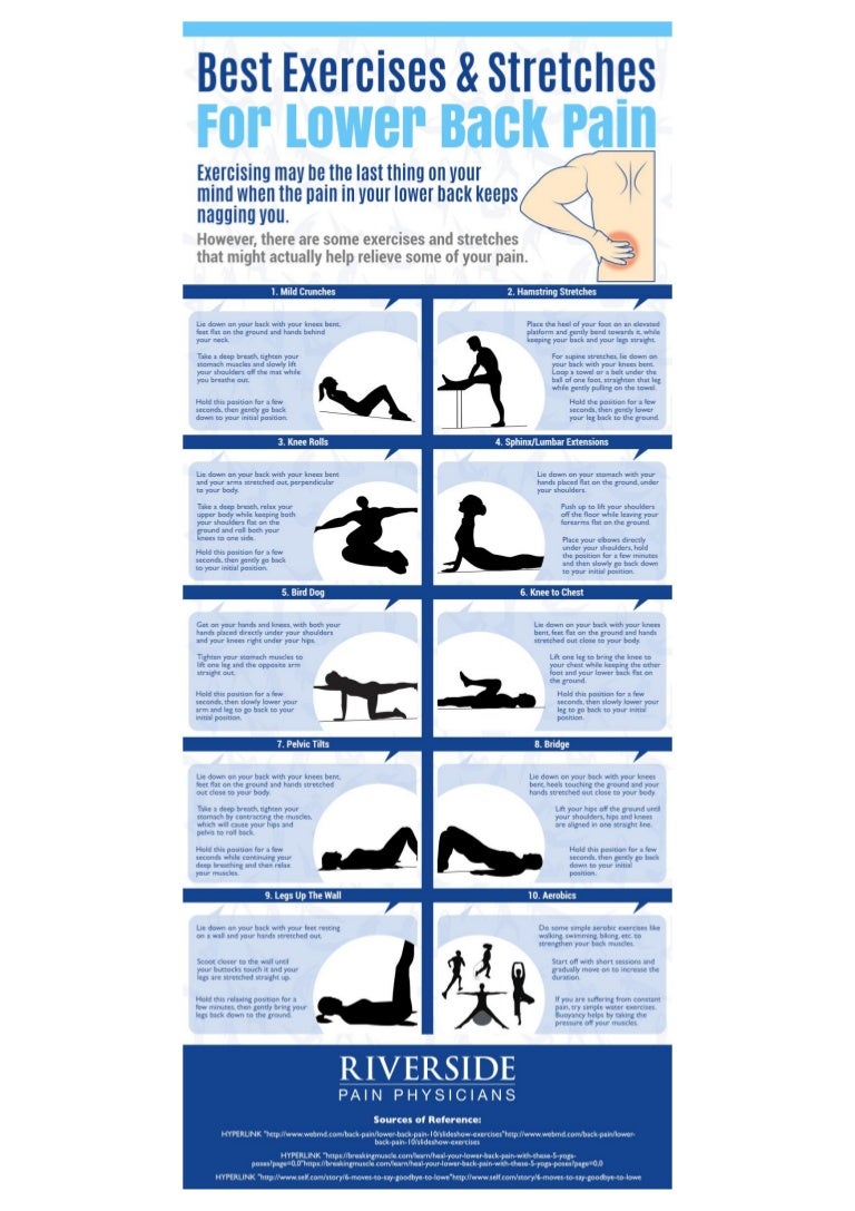 best exercises and streches for lower back best powerpoint presentation