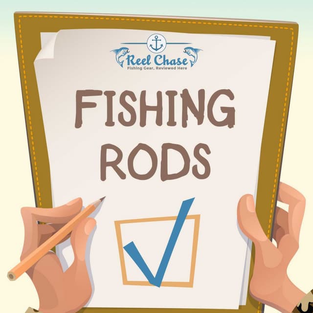 Best fishing rods for the money