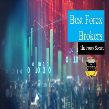 Best Forex Brokers