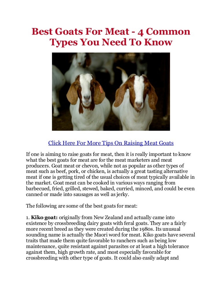 Best Goats For Meat 4 Common Types You Need To Know