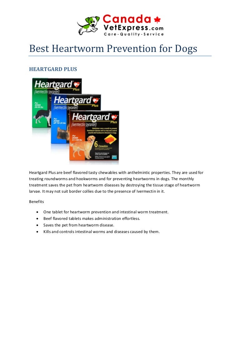 the best heartworm medicine for dogs