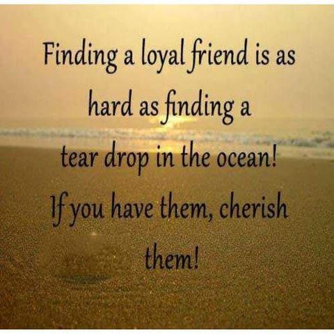 Best Life Quotes Forever