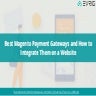 Best Magento Payment Gateways and How to Integrate Them on a Website 