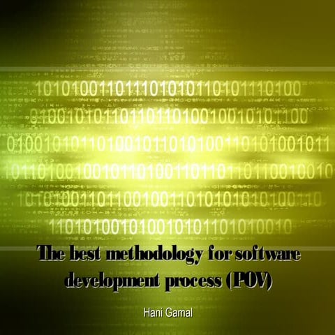 Best Methodology POV