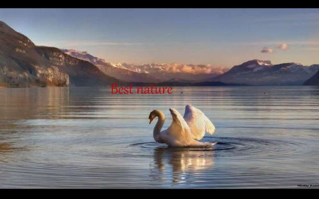 Best nature