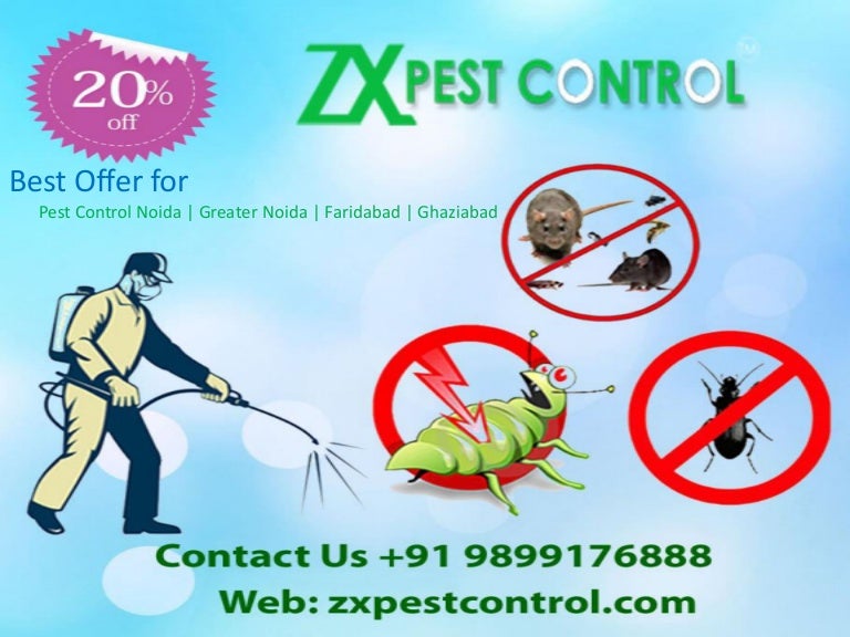 Best offer pest control noida call us 9899176888