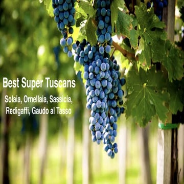 Best of Super Tuscans