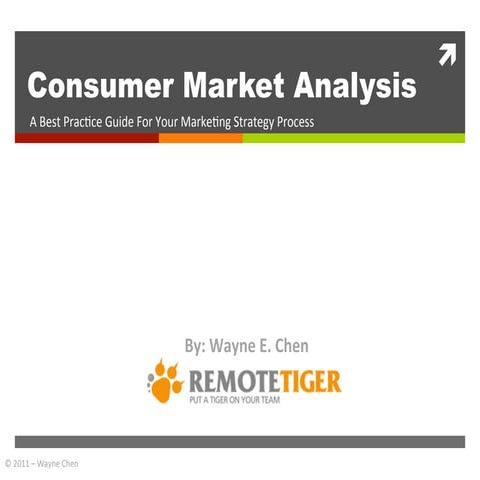 Best Practice Guide - Marketing Strategy - Consumer Market Analysis By Wayne ...