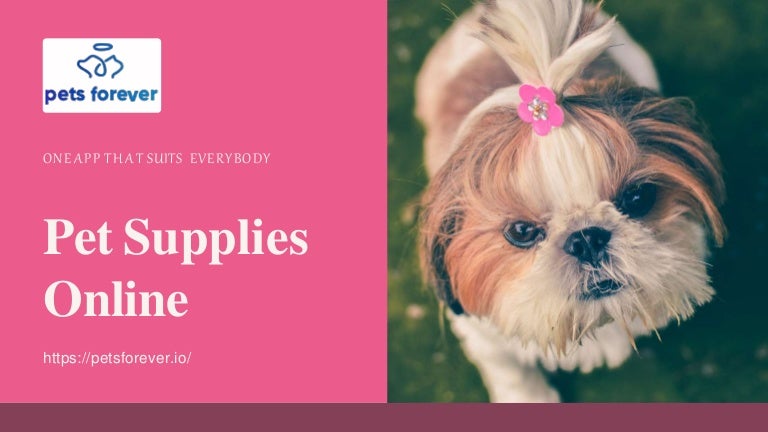 miniature golden retriever