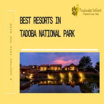 ultimate tadoba travel guide safari packages, resorts and sightseeing.pdf