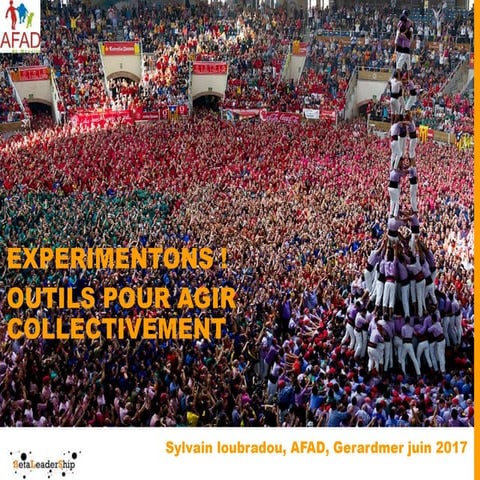 Betaleadership - Séminaire Afad juin 2017 