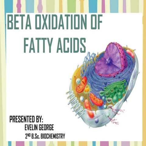 Beta oxidation of saturated fatty acid | PDF