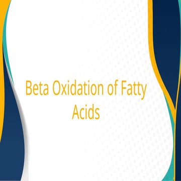 Overview about Beta Oxidation of Fatty Acids.pptx