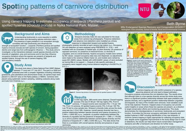 "Spotting patterns of carnivore distribution"